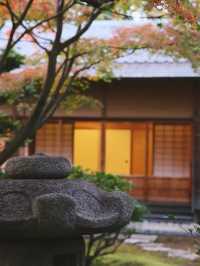 景點推薦：松風園——福岡黃葉季的靜謐庭園之美