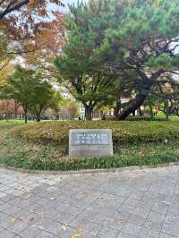 사계절 다 다른 매력을 가지고 있는 대구 대표 공원🌳