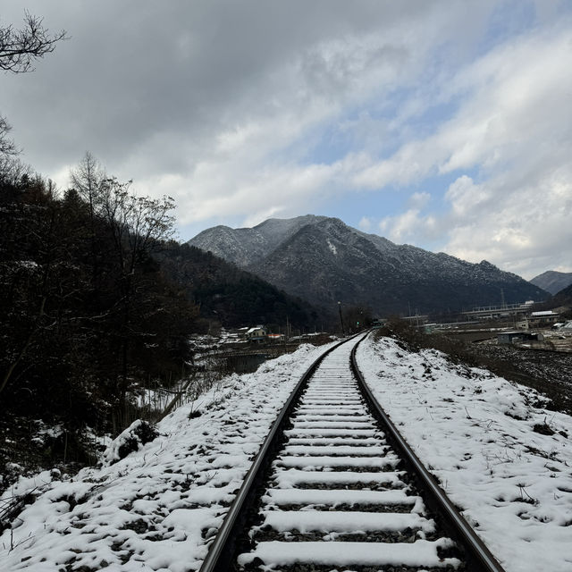 A Breathtaking Ride at Gangchon Rail Park!