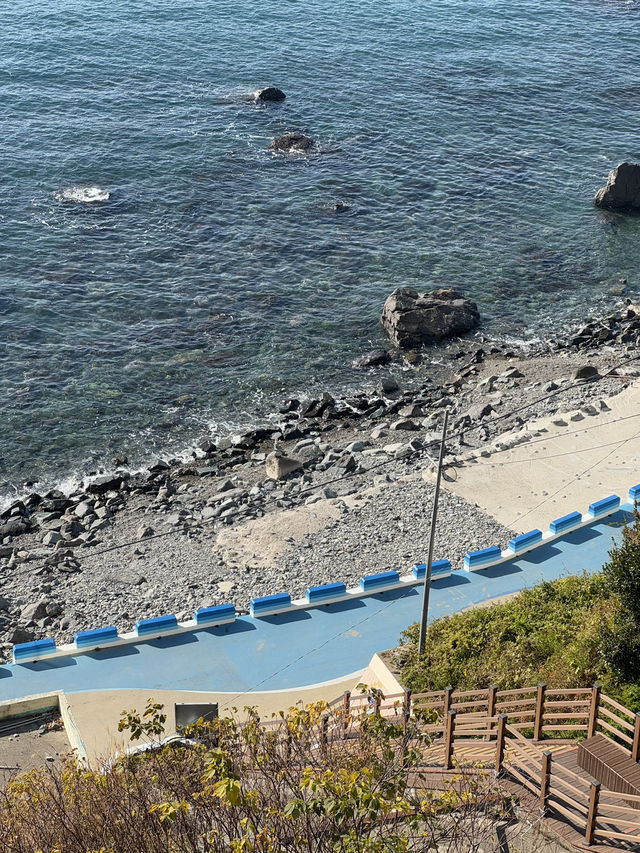 야외데이트 하기 좋은 곳🌊🚶