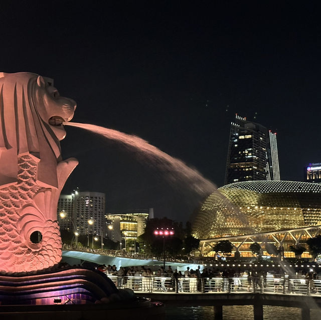シンガポール🇸🇬大都会と歴史ある国❗️そして綺麗❗️
