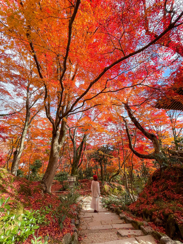 京都嵯峨野の紅葉名所😊🍁小倉山の常寂光寺🍁