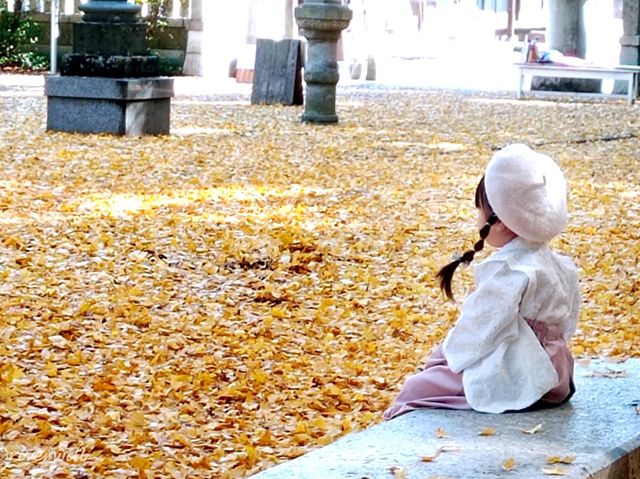 【埼玉県】埼玉の隠れた藤と紅葉の名所！「玉敷神社」