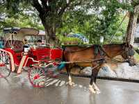 สวนสัตว์ ศรีอยุธยา ไลอ้อนปาร์ค