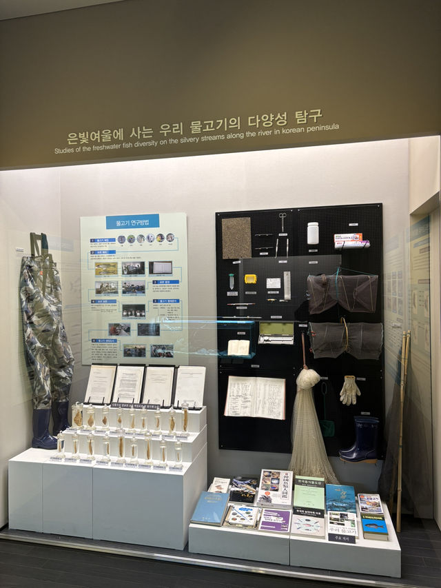 표범의 자연스러운 모습을 볼 수 있는 전북대 박물관😃
