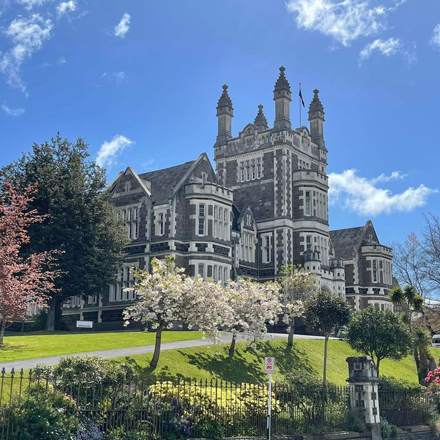 Dunedin: A Showcase of Timeless Architecture