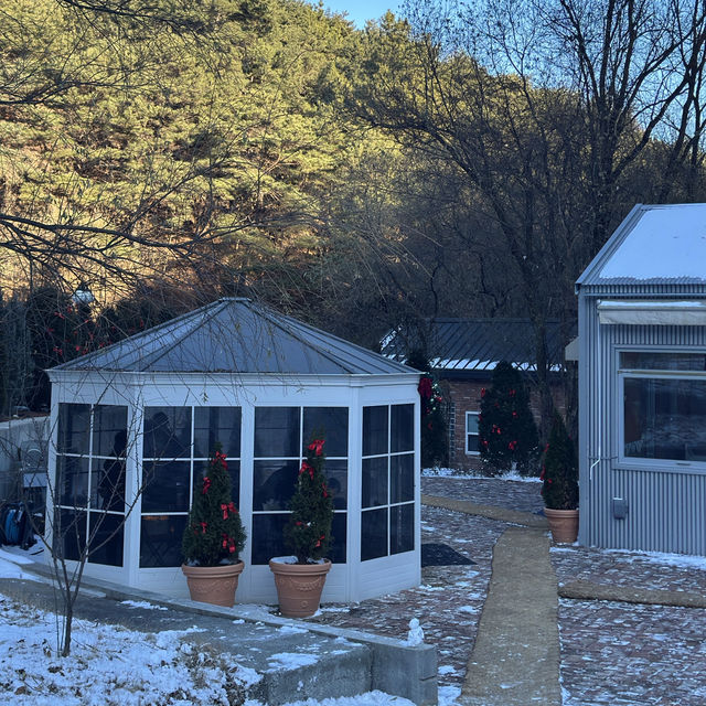 숲 속에 있는 대형 크리스마스 카페 꼭 다녀오세요🎄