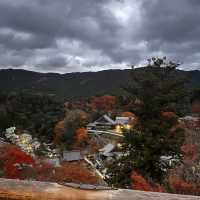 奈良-長谷寺の紅葉をリサーチ！