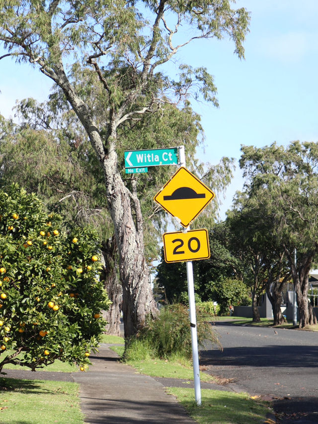 【New Zealand】オークランドで自然も街も楽しもう🌿