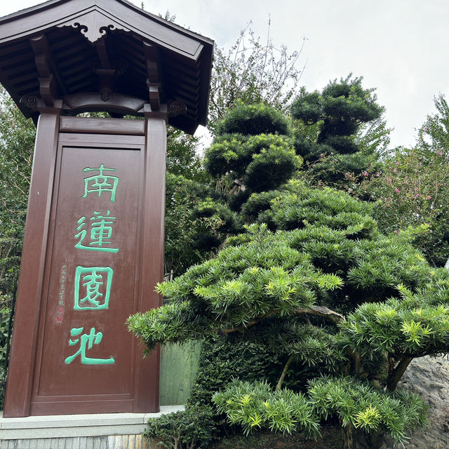 探索香港的靜謐之地：志蓮淨苑之旅 🌸