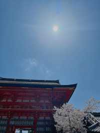 ขอพรด้านความรัก ⛩️ ศาลเจ้ายาซากะ ย่านเกียวโต