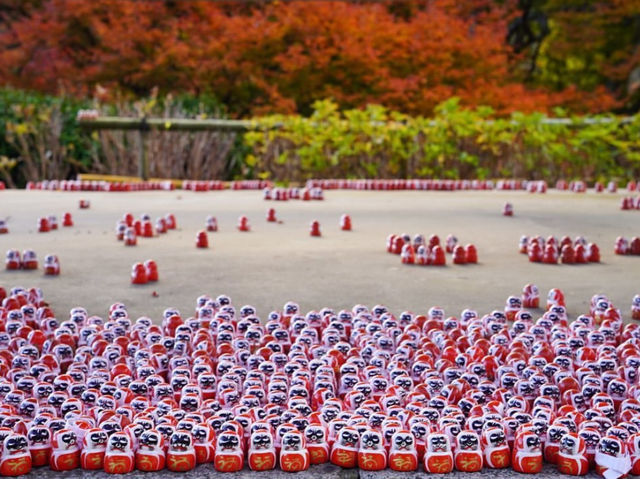 🍁 秋色に染まる大阪・勝尾寺で勝運祈願を！！