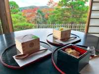 手軽に星野リゾートを🍈土浦BEB5