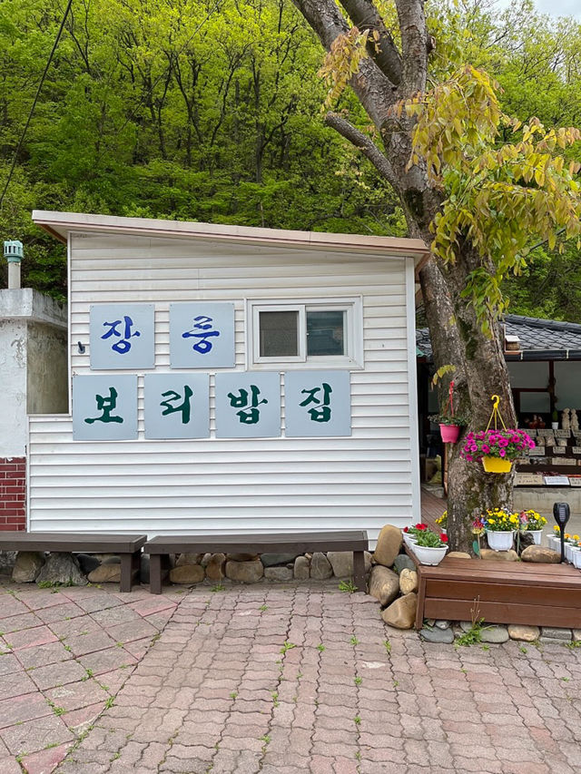 할머니댁 놀러온듯한 강원도 숨겨진 한식집🍚