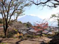 【鹿児島県】 雄大な桜島を一望できる借景庭園『仙巌園』