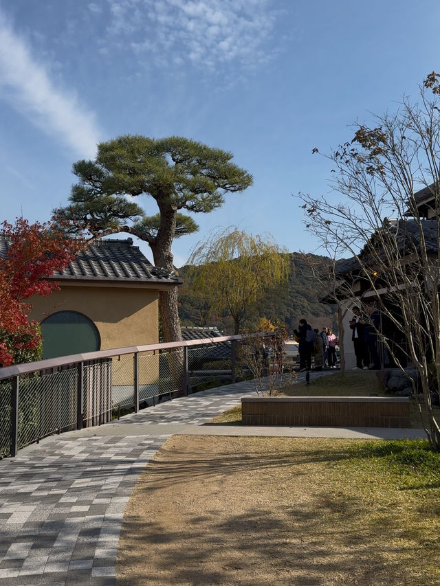 Nakamura Tokichi Byodo-in: A Matcha Haven with Breathtaking Views and Delicious Treats