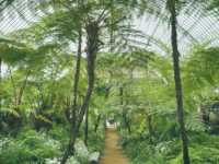 The Royal Greenhouses of Laeken