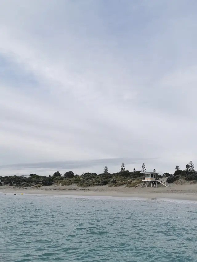 🇦🇺 Chasing Sunsets: Exploring Perth’s Stunning Beaches from Coogee to Leeuwin