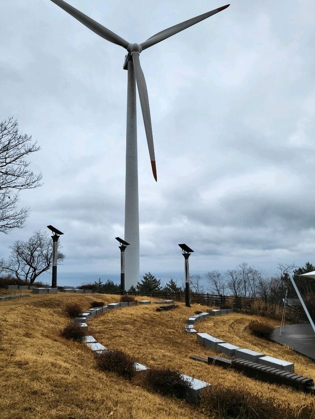 독특한 작품들이 전시된 영덕 조각공원