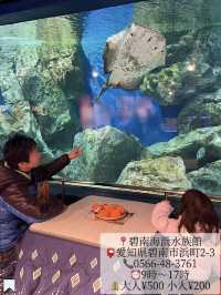 [愛知]旬スポット🐠冬の風物詩こたつに座って水槽を眺められる水族館