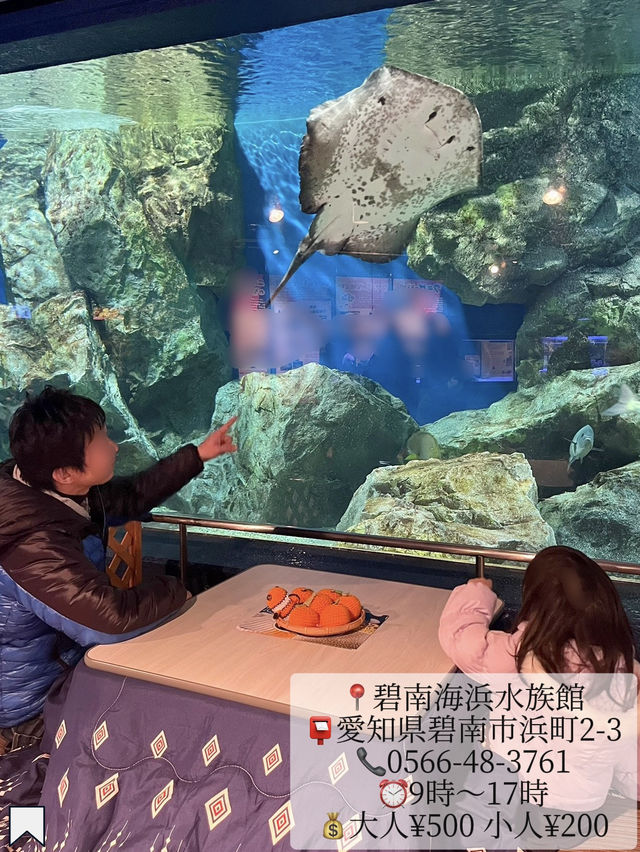 [愛知]旬スポット🐠冬の風物詩こたつに座って水槽を眺められる水族館