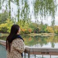 사계절마다 다른 분위기의 산책하기 좋은 나카지마 공원
