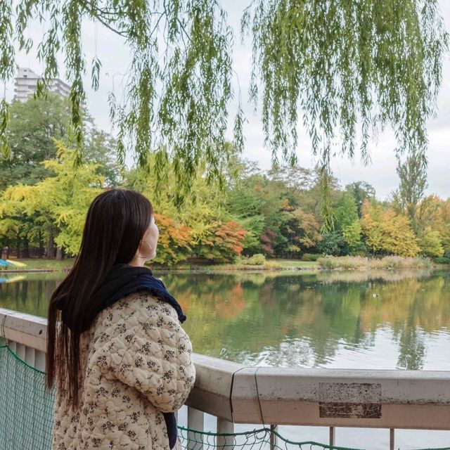 사계절마다 다른 분위기의 산책하기 좋은 나카지마 공원