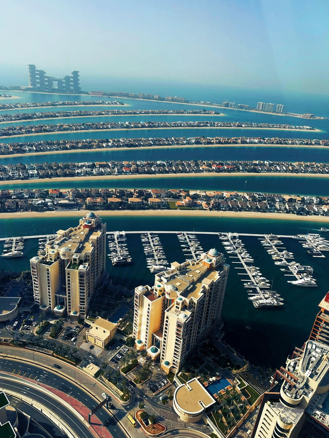 An awesome view at the palm dubai🌚