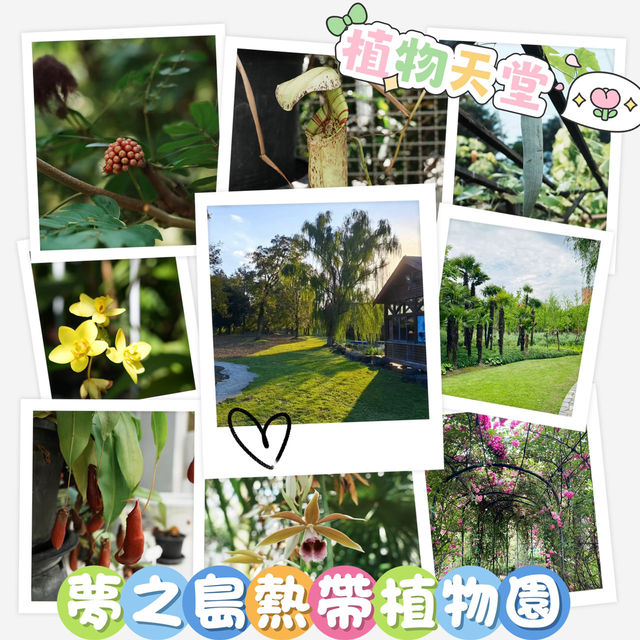 夢之島熱帶植物館～在“植物天堂裡的綠色奇境”中漫遊 🌴🌺