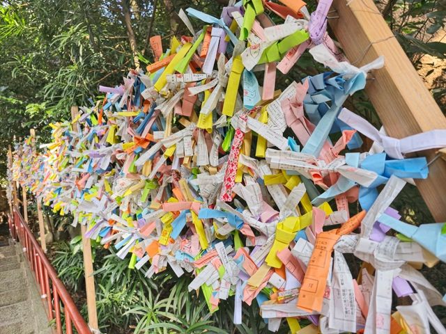 鶴岡八幡宮 遠離大都市煩囂最佳目的地!! 真的巨出片😻😻