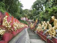 10,000 Buddhas, One Journey: A Peaceful Escape in Sha Tin