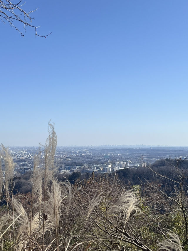 도쿄 당일치기 등산코스 추천⛰️