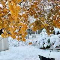 吉祥寺-白雪下朝鮮古剎