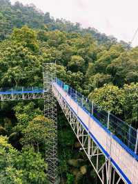 Elevated Adventure at Forest Skywalk, Kepong 🌿🌤 