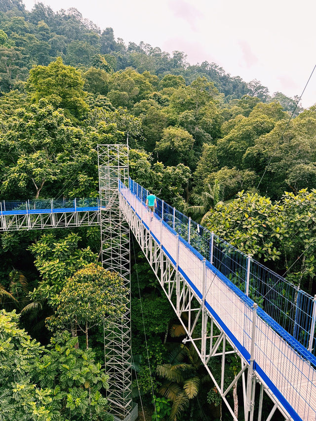 Elevated Adventure at Forest Skywalk, Kepong 🌿🌤 