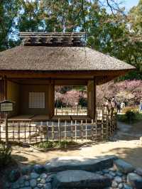 【広島】お花見や紅葉狩りにもよい庭園
