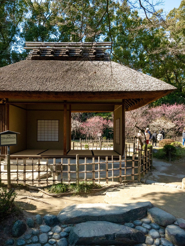 【広島】お花見や紅葉狩りにもよい庭園