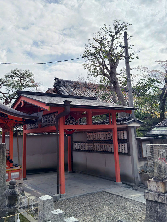 在京都八坂神社下的櫻花夢幻之旅 🌸