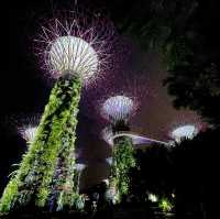 【新加坡旅遊】Supertree Grove🌳｜白天看感覺沒甚麼 晚上點燈卻超漂亮