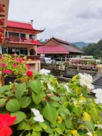 Picturesque Flower Garden