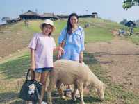 คู่มือเที่ยวดอยช้าง ใน 1 วัน