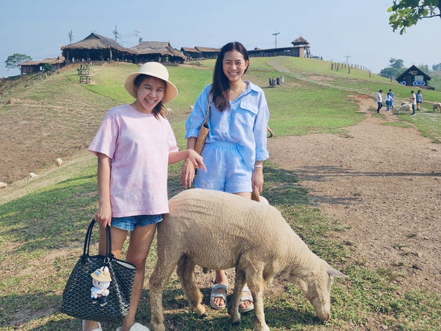 คู่มือเที่ยวดอยช้าง ใน 1 วัน