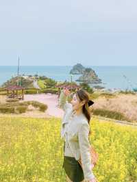 부산 봄의 시작 오륙도 수선화