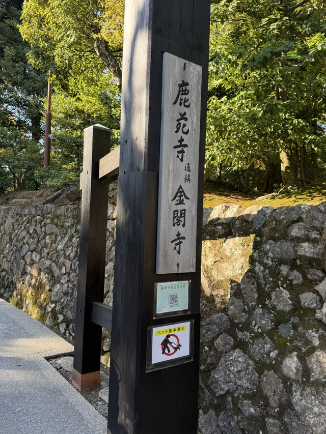 「金閣寺｜黄金に輝く京都の世界遺産・鹿苑寺」