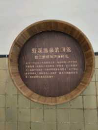 Discovering the Charm of Beitou’s Hot Spring Culture