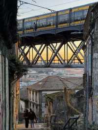If there’s only one place you must go in Porto, this is it
