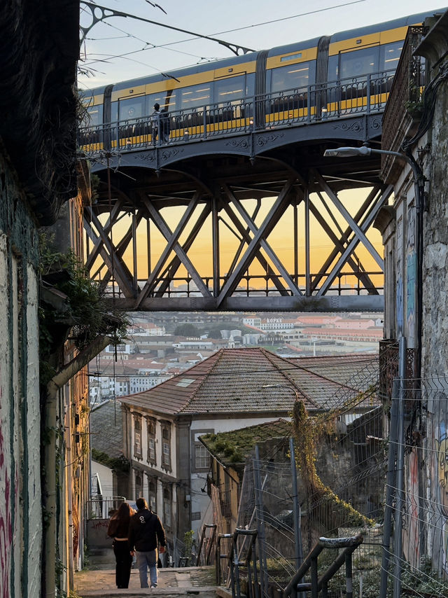If there’s only one place you must go in Porto, this is it