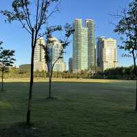 【ソウル】🇰🇷 ボラメ公園