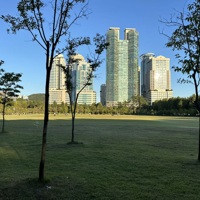 【ソウル】🇰🇷 ボラメ公園