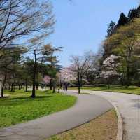 Dainohara Forest Park (台原森林公園)